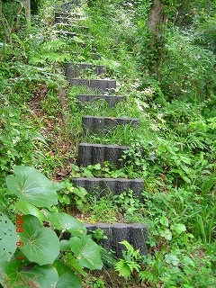 擬似木の階段.jpg
