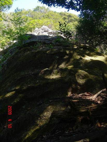 登山口の露岩.jpg