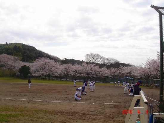 鎌足小学校の桜３DSC02892.jpg