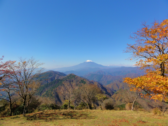 １１.富士山2.jpg